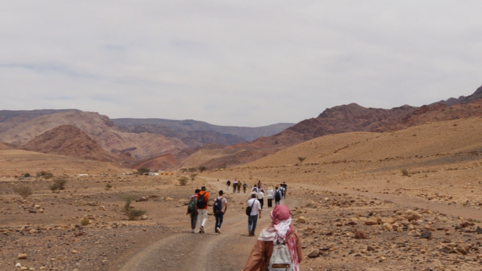 وادي فينان1.jpg